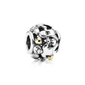 Pandora Family Forever Charm 791040