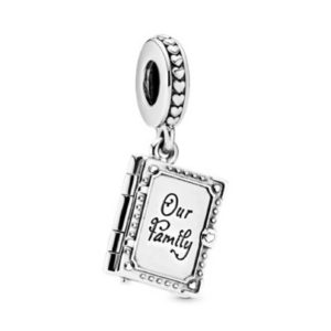 Pandora Family Book pendant charm 798105