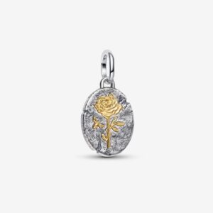 Pandora Rose Medallion Charm 764087C00